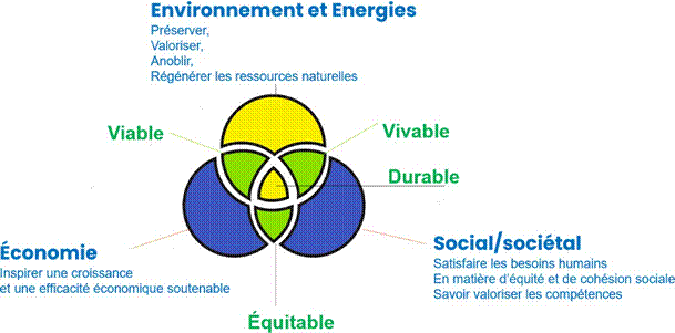 Transition NEXUS